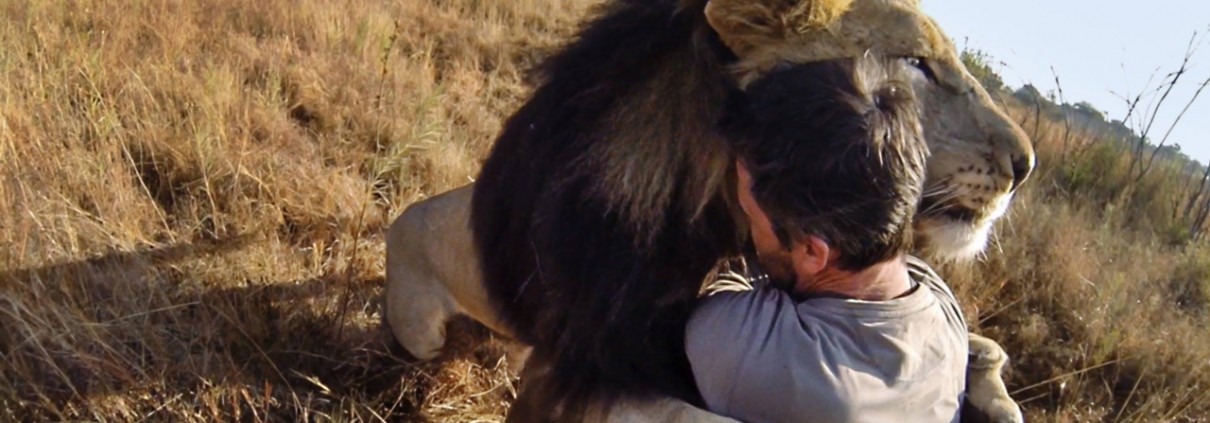 GoPro Hero 3+ - Riprese video sportive in alta definizione – 2 di 2