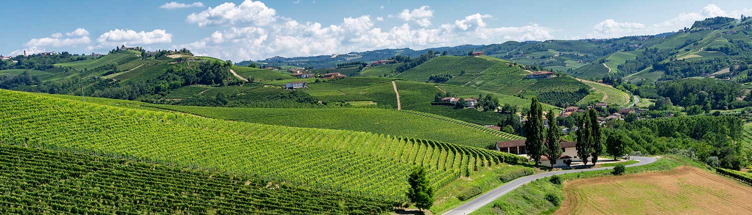 Produzione filmati e video aziendali Asti, video emozionali a Asti, Canelli, Nizza Monferrato e San Damiano d'Asti Produzione filmati e video aziendali Asti, video emozionali a Asti, Canelli, Nizza Monferrato e San Damiano d'Asti